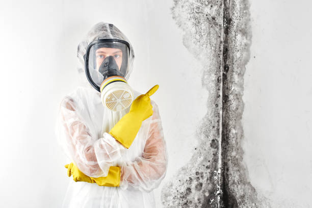 Best Comprehensive Air Testing for Mold Contaminants in Galesville, MD