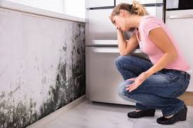 Best Residential Mold Inspection & Testing in Galesville, MD